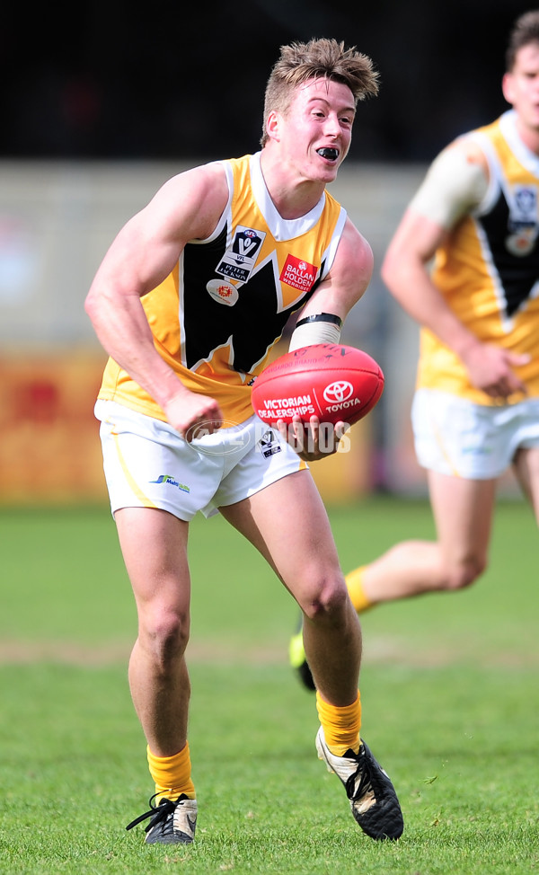 VFL 2014 Rd 20 - Frankston v Werribee - 345088