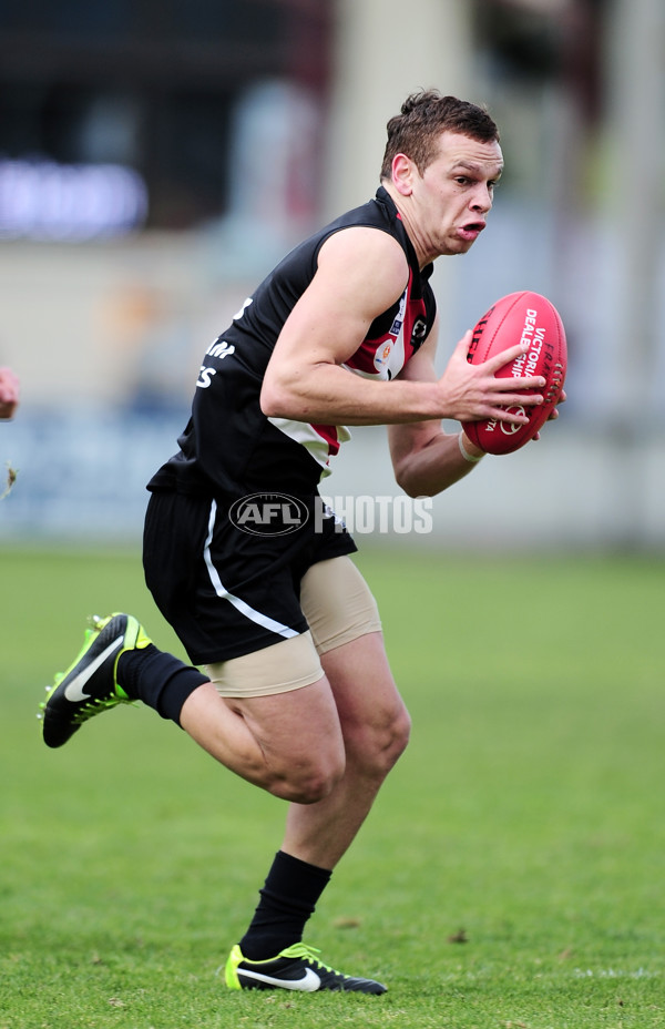 VFL 2014 Rd 20 - Frankston v Werribee - 345084