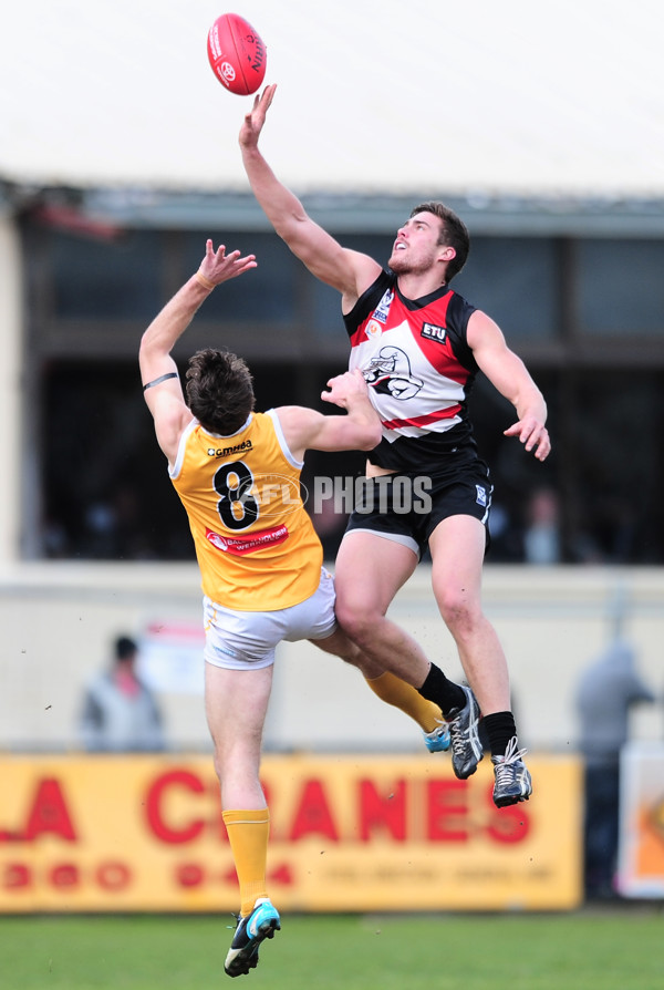 VFL 2014 Rd 20 - Frankston v Werribee - 345094