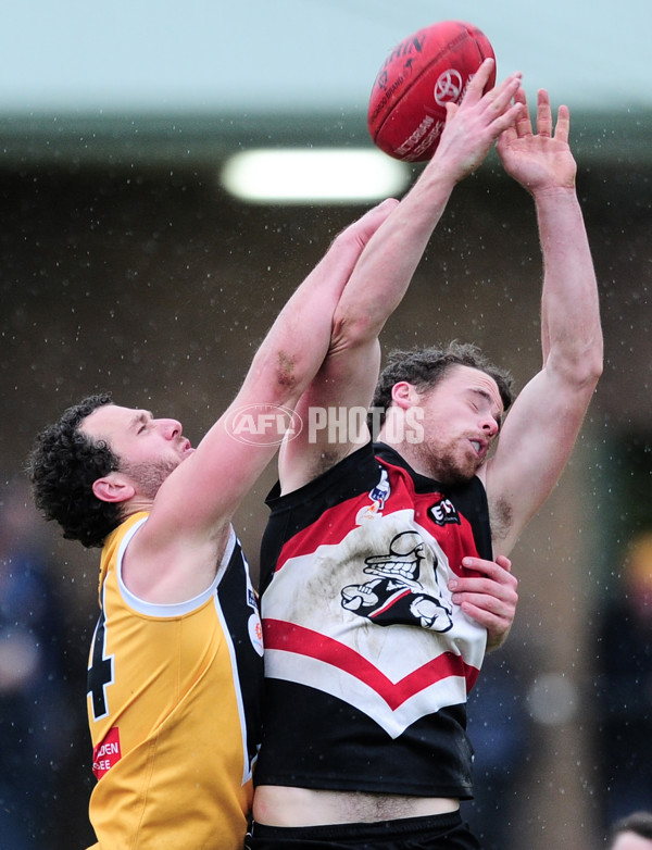 VFL 2014 Rd 20 - Frankston v Werribee - 345194