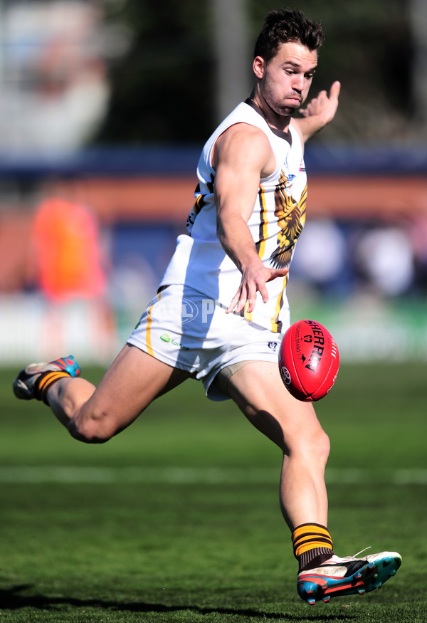 VFL 2014 1st Qualifying Final - Port Melbourne v Box Hill Hawks - 345671