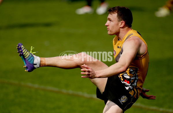 AFL 2014 Training - Richmond 040914 - 346692