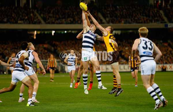 AFL 2014 Second Qualifying Final - Hawthorn v Geelong - 347064