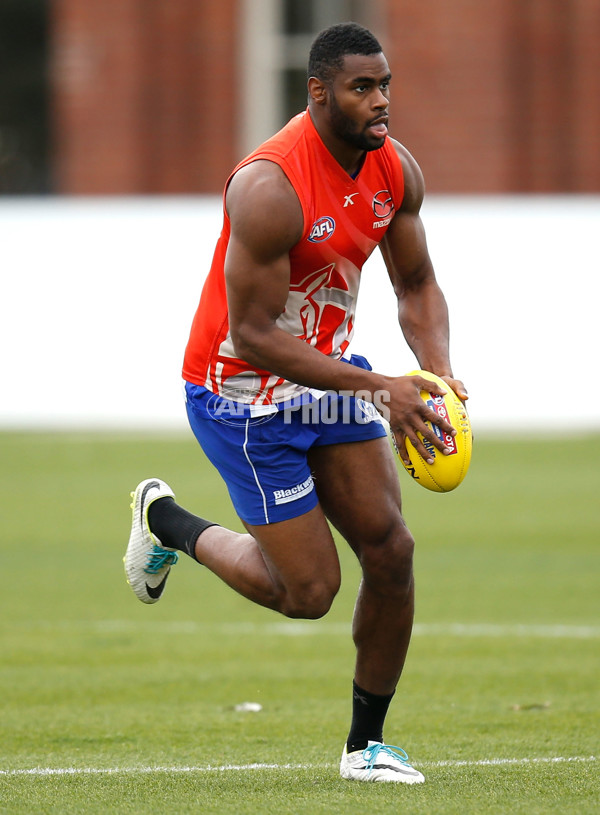 AFL 2014 Training - North Melbourne 100914 - 347895