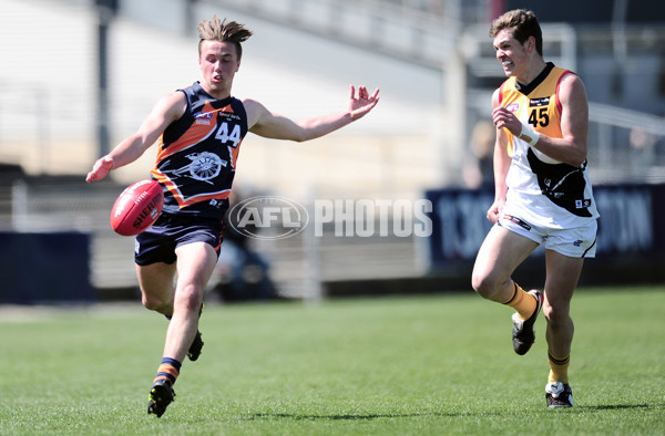 TAC Cup Preliminary Final - Calder Cannons v Dandenong Stingrays - 348277