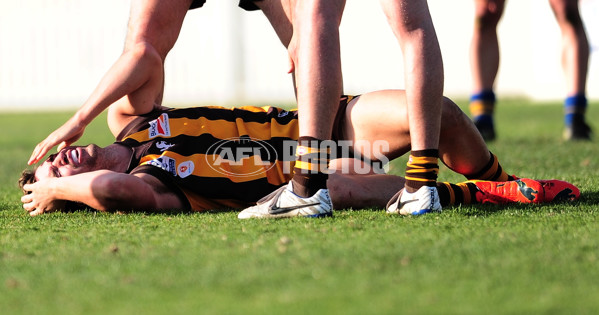 VFL 2014 Preliminary Final - Box Hill v Williamstown - 348601