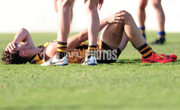 VFL 2014 Preliminary Final - Box Hill v Williamstown - 348600