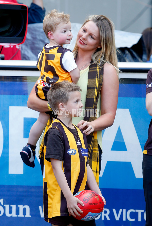 AFL 2014 Toyota Grand Final - Sydney v Hawthorn - 351851