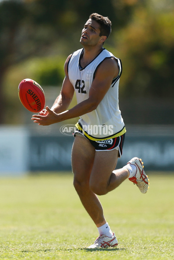 AFL 2014 Training - St Kilda 211114 - 354349