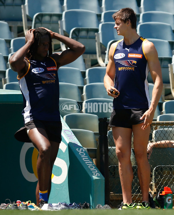 AFL 2014 Training - West Coast 121214 - 355792