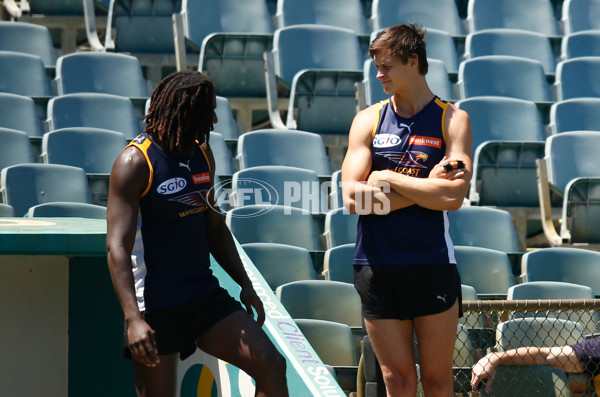 AFL 2014 Training - West Coast 121214 - 355793