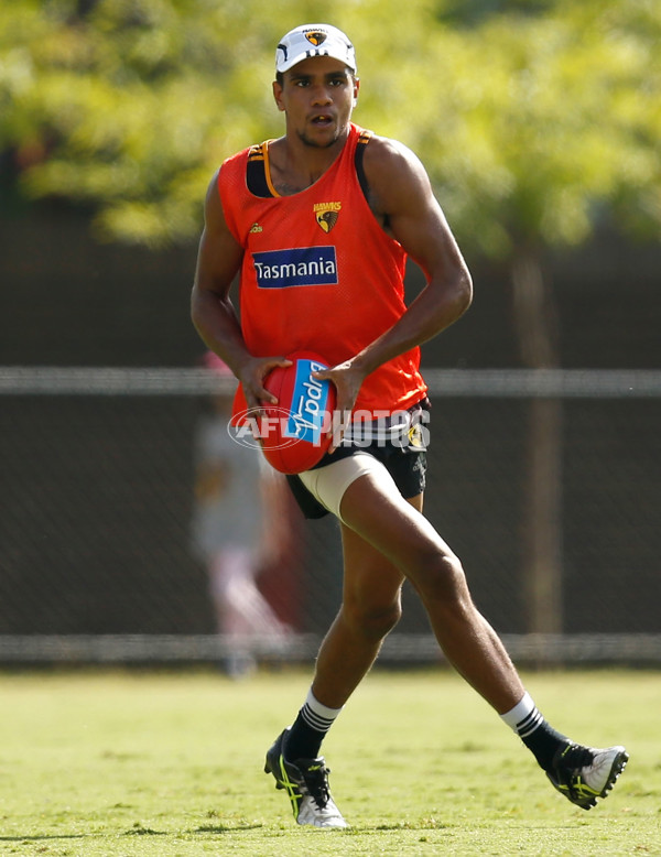 AFL 2016 Training - Hawthorn 130116 - 414693