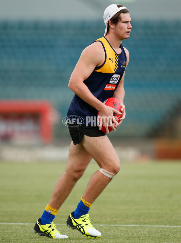 AFL 2016 Training - West Coast Eagles 200116 - 415162