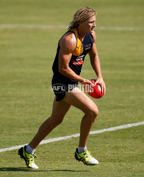 AFL 2016 Training - West Coast Eagles 200116 - 415189