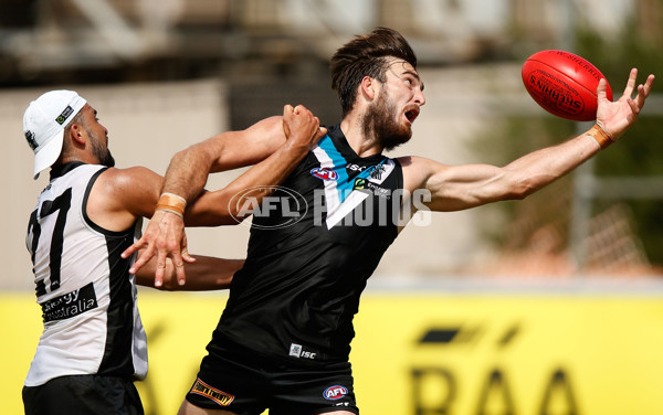 AFL 2016 Training - Port Adelaide 260116 - 415524