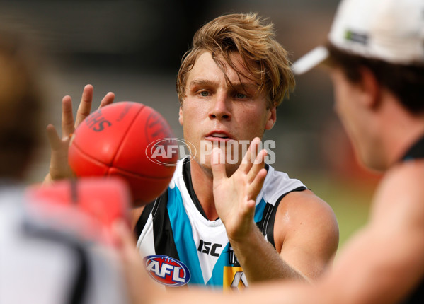 AFL 2016 Training - Port Adelaide 260116 - 415598