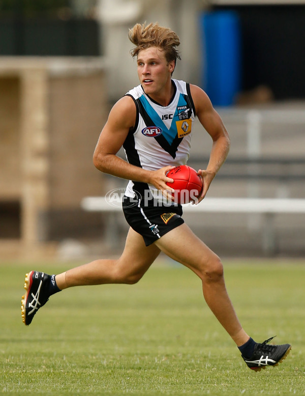 AFL 2016 Training - Port Adelaide 260116 - 415613