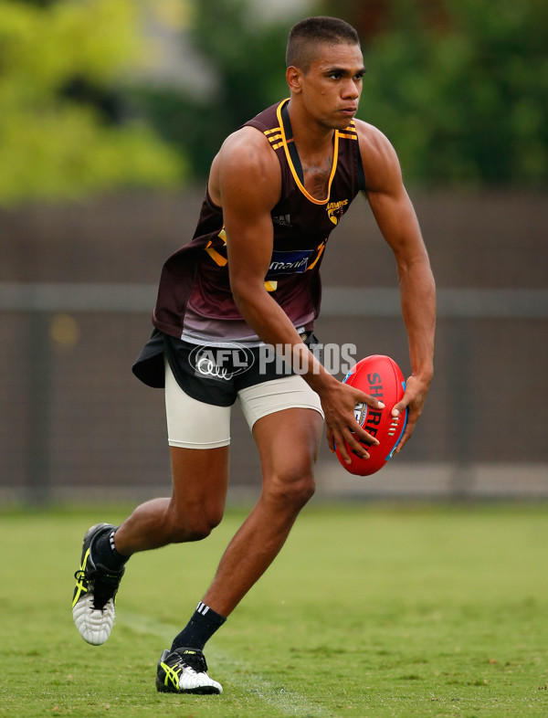 AFL 2016 Training - Hawthorn 080216 - 416752