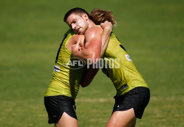 AFL 2016 Training - Fremantle 170216 - 418231