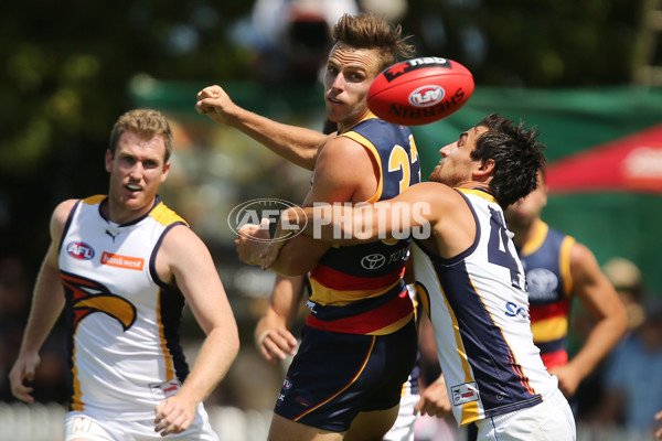 AFL 2016 NAB Challenge - Adelaide v West Coast - 419040