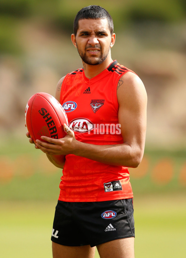 AFL 2016 Training - Essendon 250216 - 419685