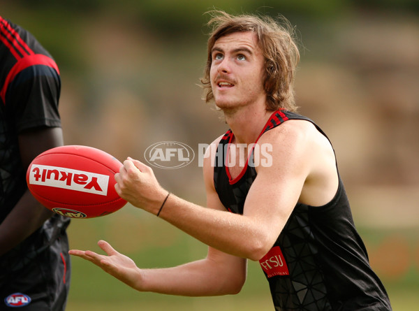 AFL 2016 Training - Essendon 250216 - 419682