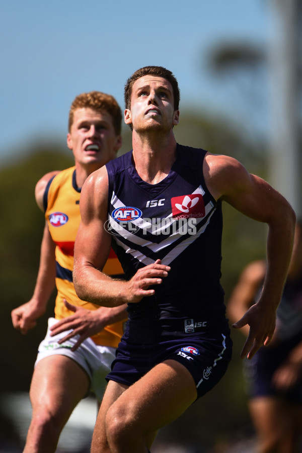AFL 2016 NAB Challenge - Fremantle v Adelaide - 420359