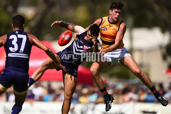 AFL 2016 NAB Challenge - Fremantle v Adelaide - 420360