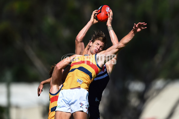 AFL 2016 NAB Challenge - Fremantle v Adelaide - 420373