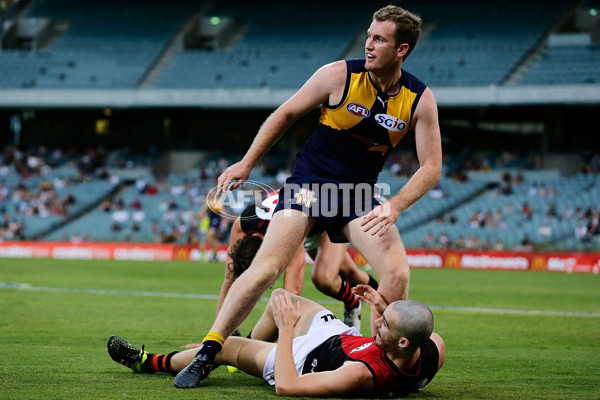 AFL 2016 NAB Challenge - West Coast v Essendon - 422393