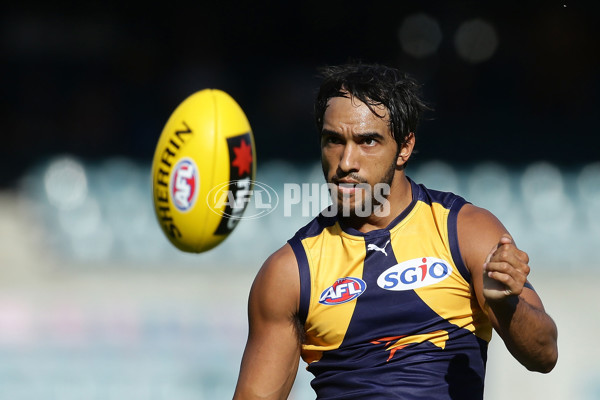 AFL 2016 NAB Challenge - West Coast v Essendon - 422416