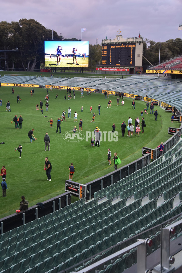 Adelaide 2016 - Season Launch - 423065