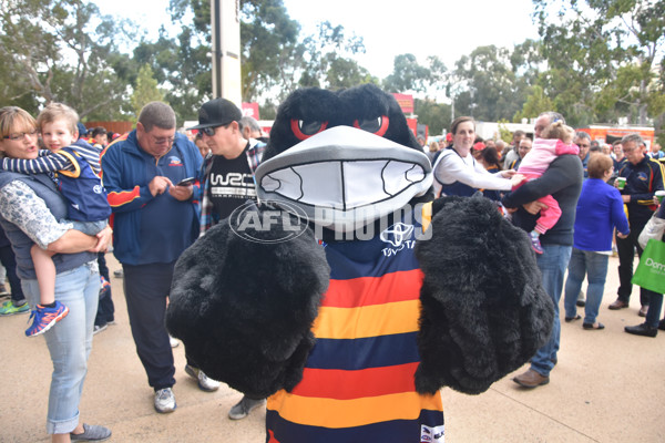 Adelaide 2016 - Season Launch - 423061