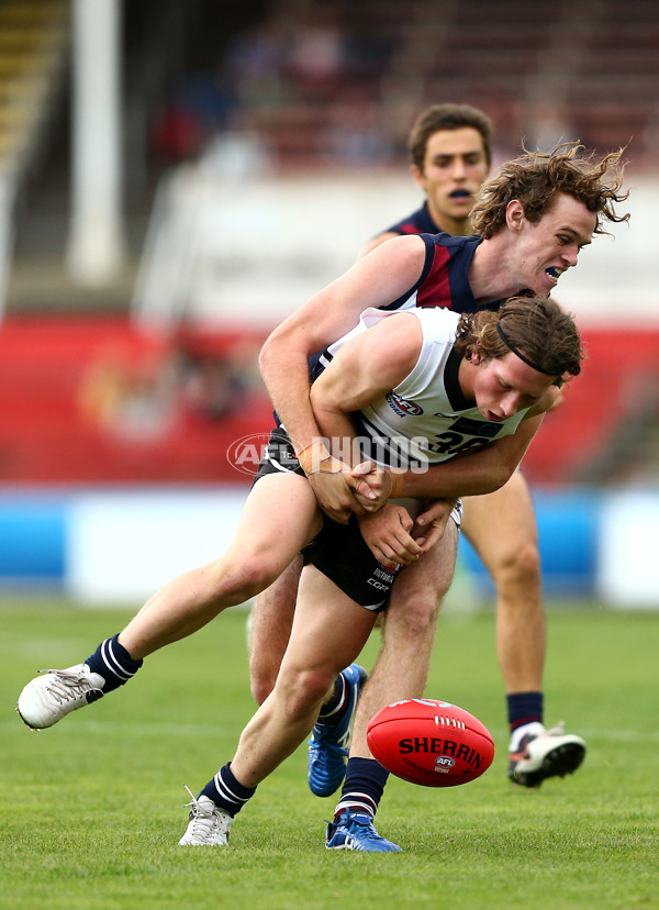 TAC 2016 RD 01 - Northern Knights v Sandringham Dragons - 424219