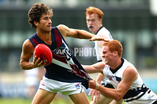 TAC 2016 RD 01 - Northern Knights v Sandringham Dragons - 424228