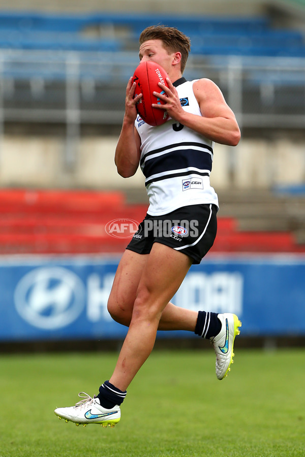 TAC 2016 RD 01 - Northern Knights v Sandringham Dragons - 424190