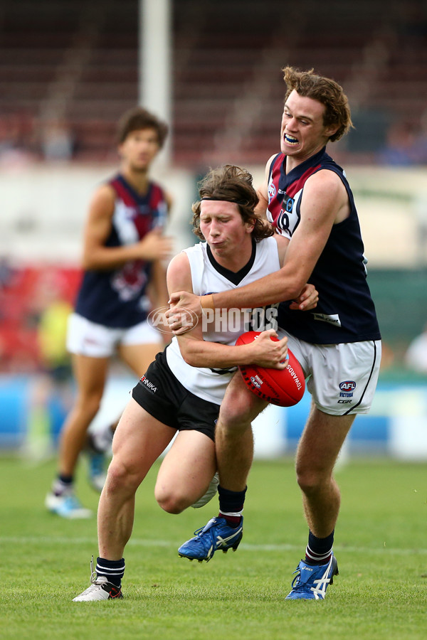 TAC 2016 RD 01 - Northern Knights v Sandringham Dragons - 424217