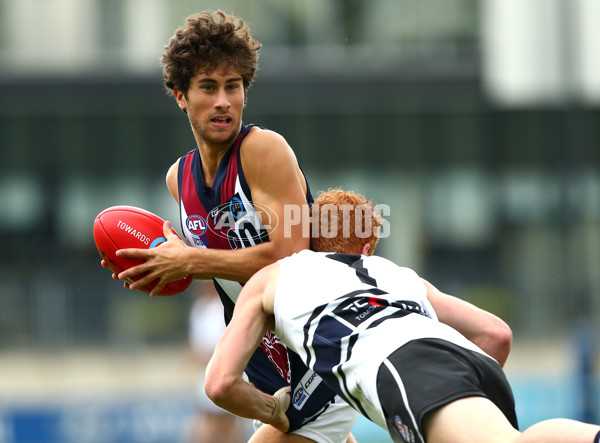 TAC 2016 RD 01 - Northern Knights v Sandringham Dragons - 424226