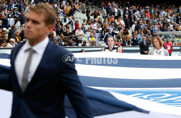 AFL 2016 Rd 01 - Geelong v Hawthorn - 424958