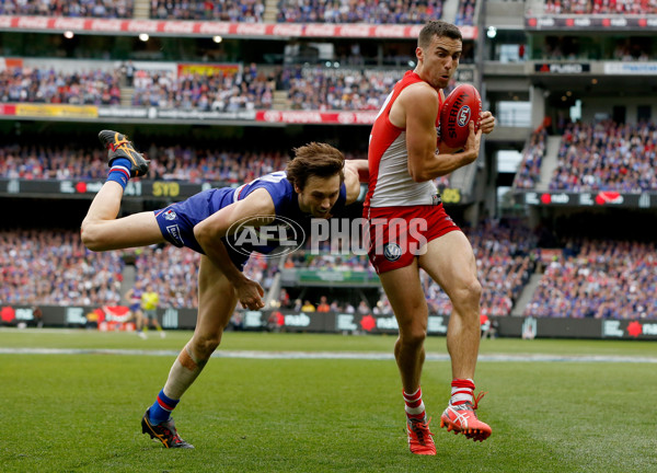 AFL 2016 Toyota AFL Grand Final - Sydney v Western Bulldogs - 476455