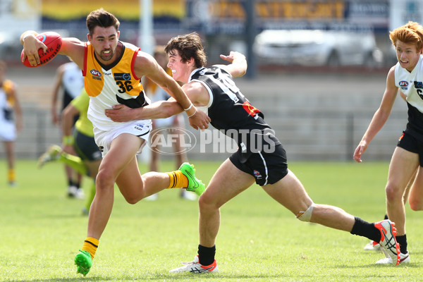 TAC 2016 RD 02 - North Ballarat Rebels v Dandenong Stingrays - 426133