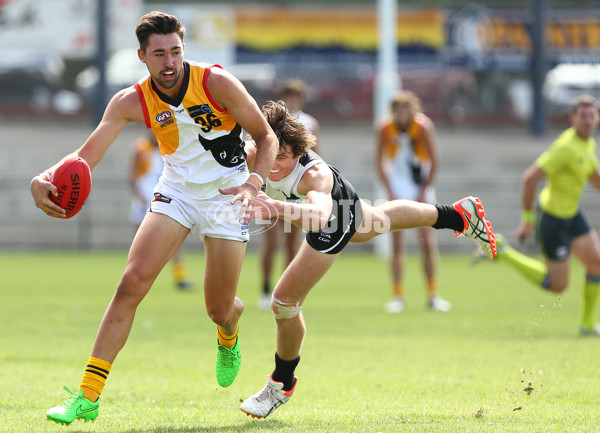 TAC 2016 RD 02 - North Ballarat Rebels v Dandenong Stingrays - 426134