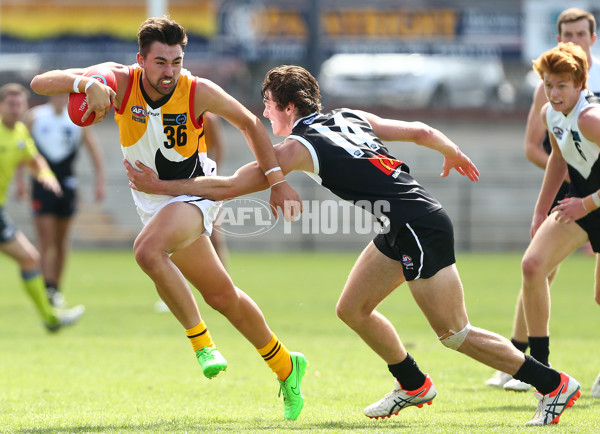 TAC 2016 RD 02 - North Ballarat Rebels v Dandenong Stingrays - 426132