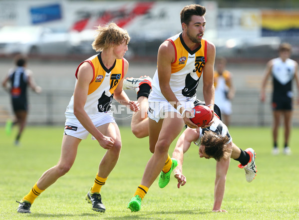 TAC 2016 RD 02 - North Ballarat Rebels v Dandenong Stingrays - 426138