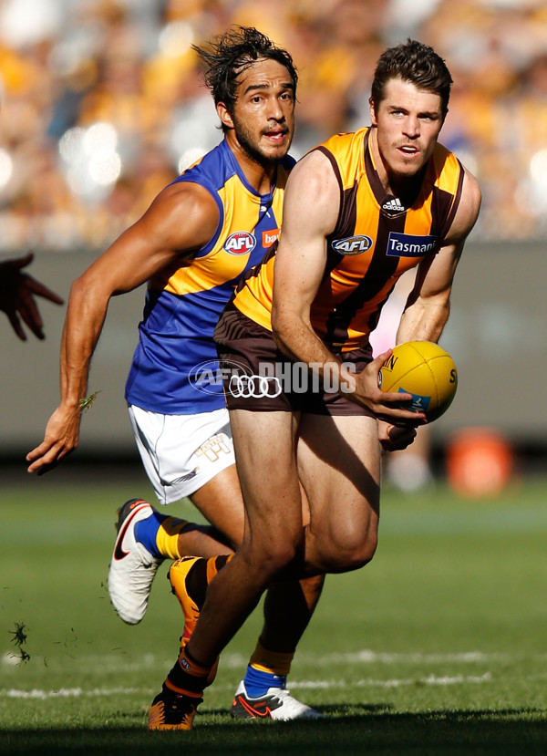 AFL 2016 Rd 02 - Hawthorn v West Coast - 426284