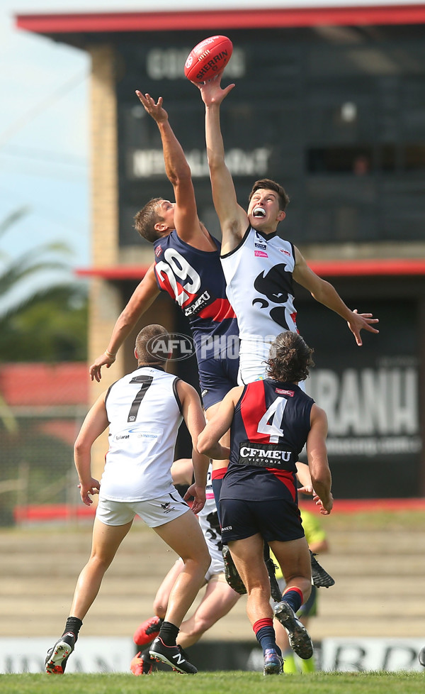 VFL Rd 01 - Coburg v North Ballarat - 427795