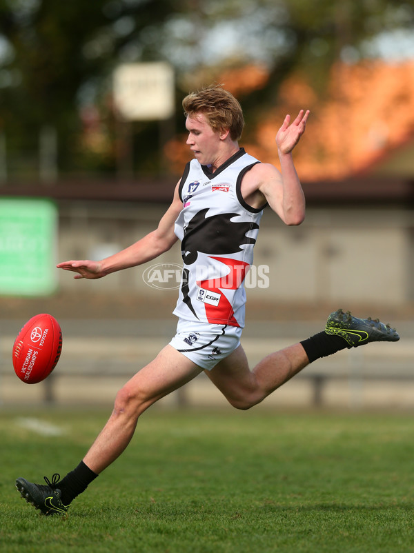 VFL Rd 01 - Coburg v North Ballarat - 428433