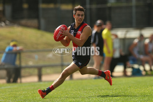 VFL Rd 01 - Coburg v North Ballarat - 428424