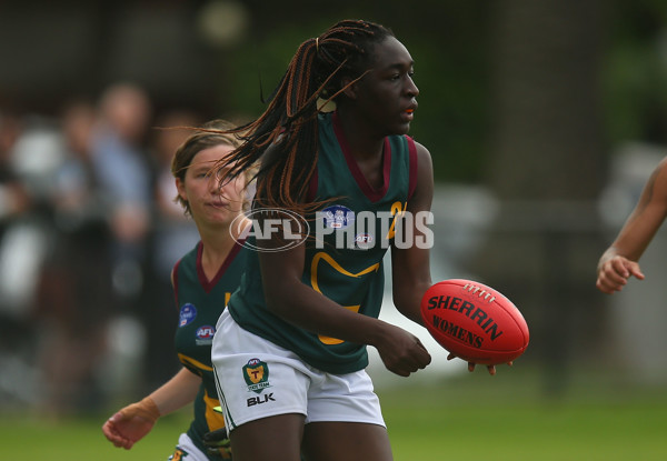 AFL 2016 Media - Womens Match Northern Territory v Tasmania - 428823