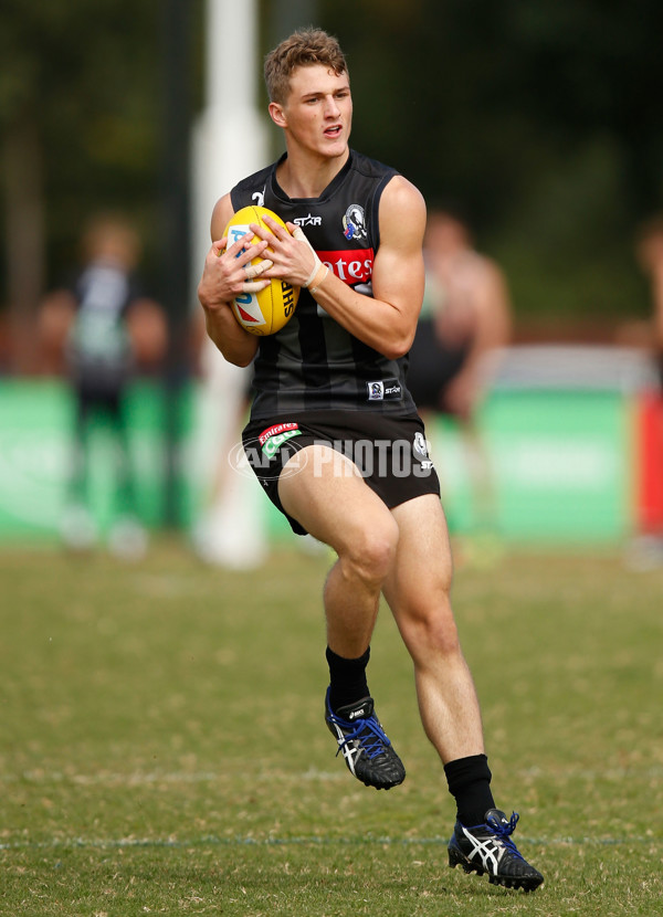 AFL 2016 Training - Collingwood 120416 - 429254